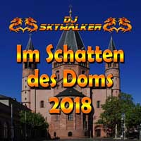 Cover DJ Skywalker - Im Schatten des Doms 2018