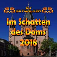 Cover Im Schatten des Doms 2018